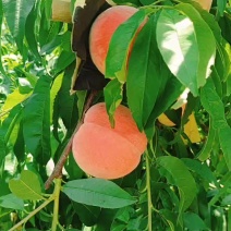 突围