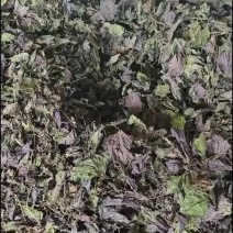 紫苏干货