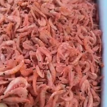 磷虾