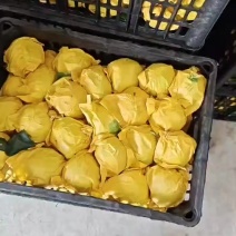 酥脆一号月底即将上市有需要的老板可以联系