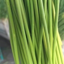 新鲜蒜薹，廊坊永清县