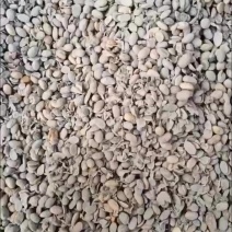 生物菌发酵有机大豆肥