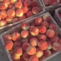 纸袋突围桃大量收货中货源充足。
