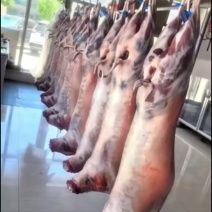 宁夏盐池滩羊肉农家散养现杀白条羊肉质鲜嫩冷链空运包邮
