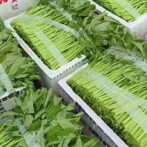 精品薄膜箱空心菜，