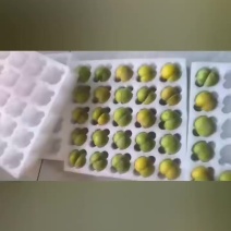 精品大果礼盒5斤装