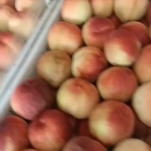突围毛桃，油桃，蟠桃，春雪毛桃大量上市中