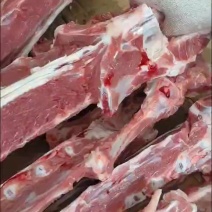 鲜剔大满肉羊蝎子