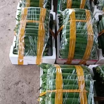香丝瓜油皮丝瓜