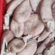 预煮小肚翻面无油预煮大猪小肚