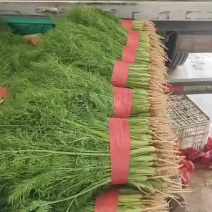 毛毛钱买好货