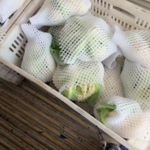 有机花菜🥦