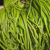 腌制蕨菜分别为绿菜紫菜都有