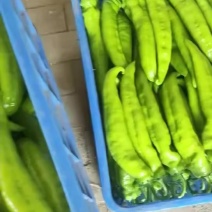 黄皮尖椒