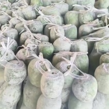 大量供应小白冬瓜
