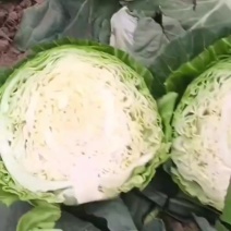 甘兰