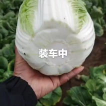 保证质量，