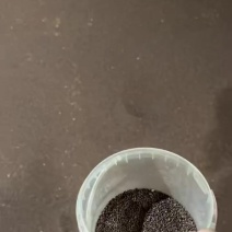油菜籽