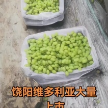 维多利亚
