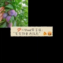 凤凰李，四川南充的，自家果园，最近随时可以采摘。