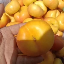 黄油蟠桃，黄油桃，大量上市中有需要老板联系我