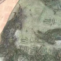 六月黄大闸蟹生态养殖不喂养