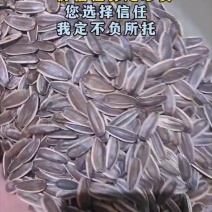 葵花籽