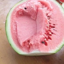 西瓜