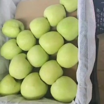 华硕苹果