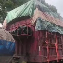 物流货运