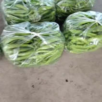 尖椒，麻辣椒，螺丝椒