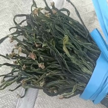 干豆角