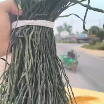 成武干豆角