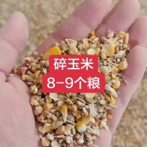 碎玉米