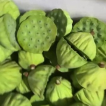 水果莲蓬