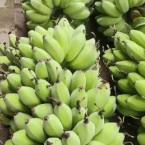 广西苹果香蕉