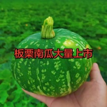 板栗南瓜