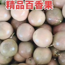广西灵山壮蜜06百香果农科院新品种高糖爆汁