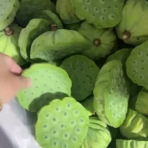 水果莲蓬