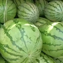 西瓜品质保证服务周到产地直发价格美丽欢迎联系沟通