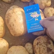 绥中大量有货