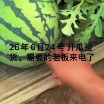 无籽美都麒麟西瓜货好价不高有需要老板联系我