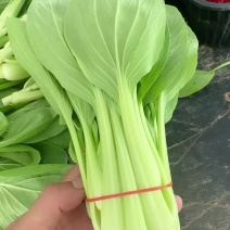 油菜苔