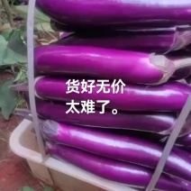 长茄