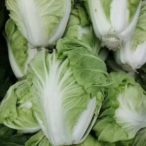 鸡腿白菜
