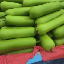瓠瓜