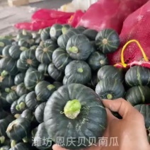 礼盒/电商/团购精品惠和一号贝贝南瓜包粉可一件代发