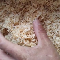 【陈货】虾皮高盐主打便宜，批发，喂鸡，量少勿扰