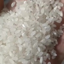 长粒大米
