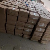 精品冬瓜批量供应，货源充足，长期合作价优，当日装车发货
